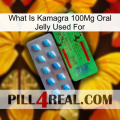 What Is Kamagra 100Mg Oral Jelly Used For new03